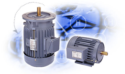 Inverter Duty Motors